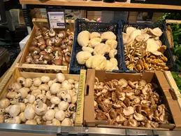 601-biocoop-pin-parasol-antibes-magasin-bio-champignon-legume-saison-local.webp