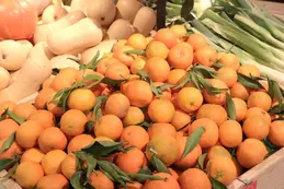 601-biocoop-pin-parasol-antibes-magasin-bio-fruit-legume-clementine-corse.webp