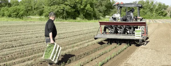 Terres de Guérande, ensemble pour la bio ! Terres de Guérande, ensemble pour la bio !